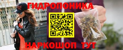 круглые Новодвинск