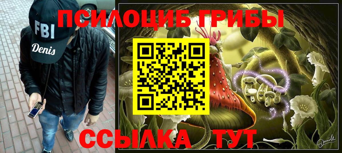 Ставрополь  Псилоцибиновые грибы прущие грибы  Галлюциногенные грибы прущие грибы  Вход с VPN 