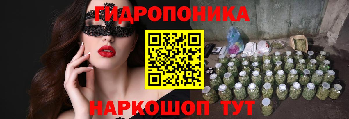 Конопля Ganja  Вход с VPN  Шишки марихуана тримм  Конопля гибрид  Бошки марихуана конопля  Ставрополь 